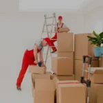 i (3)